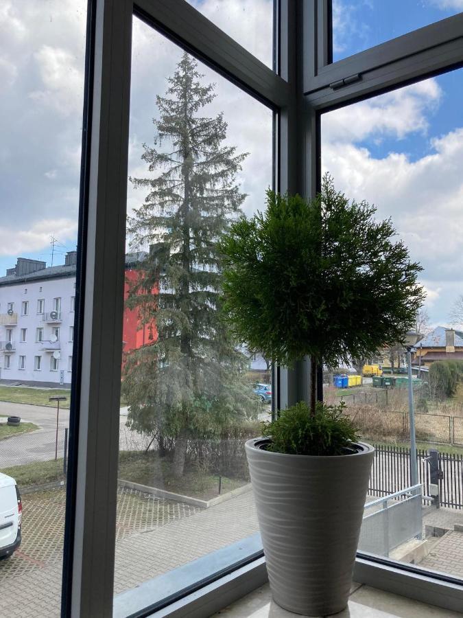 Apartament Miodowa 9 Zwierzyniec Eksteriør bilde