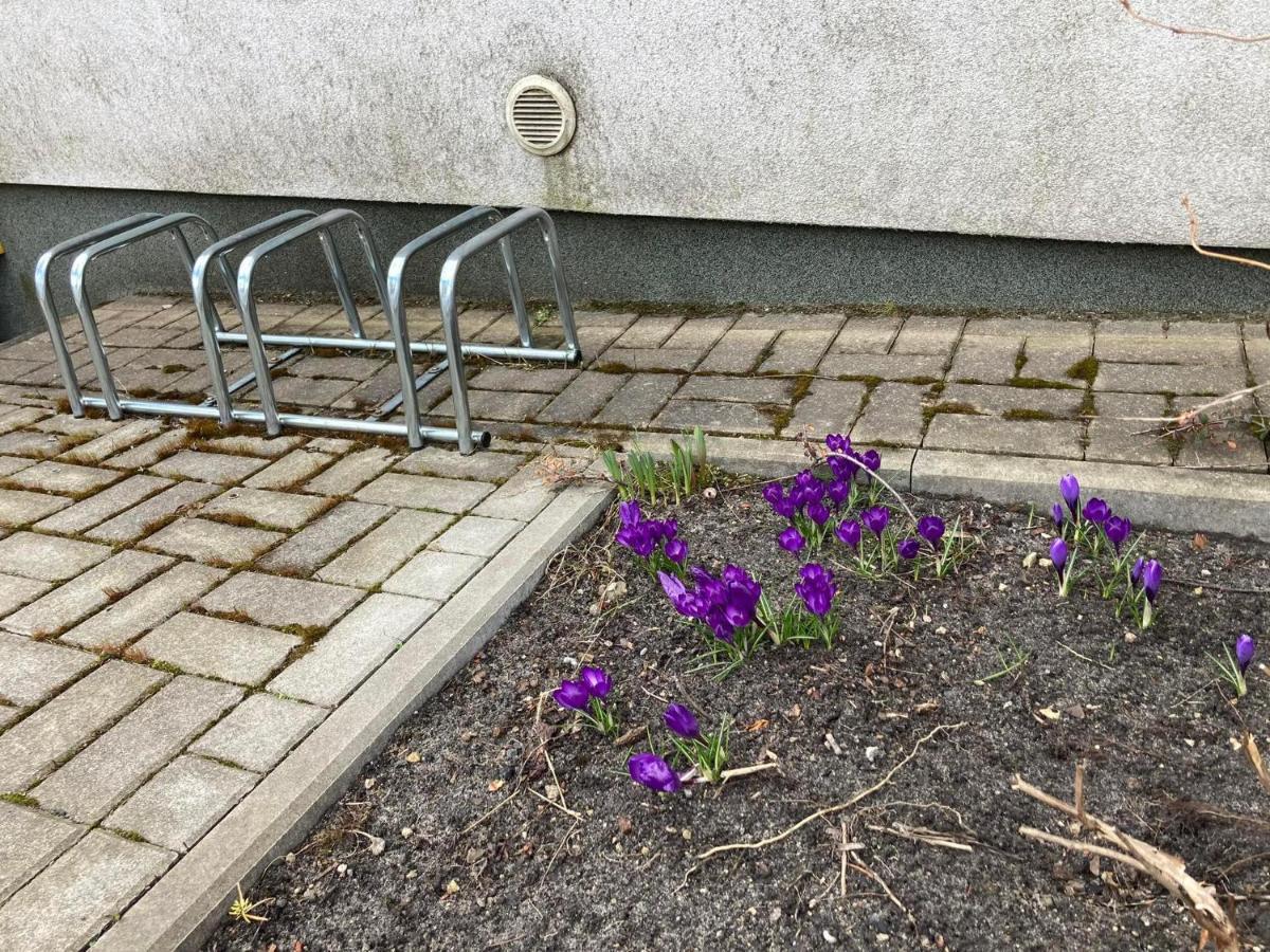 Apartament Miodowa 9 Zwierzyniec Eksteriør bilde